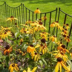 Gilbert & Bennett Canterbury 39 in. Steel Garden Fence -Deals Silky Store black gilbert bennett garden fencing fb102 a 1f 1000