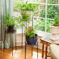 Gilbert & Bennett 15 in. Black Basic Metal Plant Stand -Deals Silky Store black gilbert bennett plant stands s1015 b 1f 1000