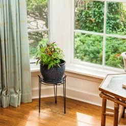 Gilbert & Bennett 15 in. Black Basic Metal Plant Stand -Deals Silky Store black gilbert bennett plant stands s1015 b fa 1000