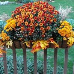 Gilbert & Bennett 36.00 in. x 9.50 in. Black Steel Window Boxes & Troughs 9 Gilbert & Bennett 36.00 in. x 9.50 in. Black Steel Window Boxes & Troughs -Deals Silky Store black gilbert bennett window boxes htcb36 b 1f 1000