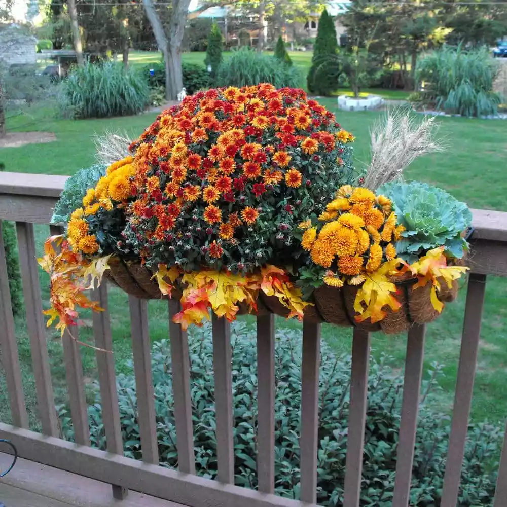 Gilbert & Bennett 36.00 in. x 9.50 in. Black Steel Window Boxes & Troughs 5 Gilbert & Bennett 36.00 in. x 9.50 in. Black Steel Window Boxes & Troughs - Image 5