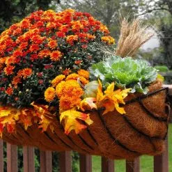 Gilbert & Bennett 36.00 in. x 9.50 in. Black Steel Window Boxes & Troughs 8 Gilbert & Bennett 36.00 in. x 9.50 in. Black Steel Window Boxes & Troughs -Deals Silky Store black gilbert bennett window boxes htcb36 b 4f 1000