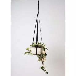 Silky Sales -Deals Silky Store black primitive planters plant hangers 2633 31 1000