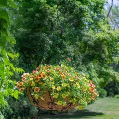 Gilbert & Bennett 14 in. Painted Steel Filigree Hanging Basket with Coco Liner 17 Gilbert & Bennett 14 in. Painted Steel Filigree Hanging Basket with Coco Liner -Deals Silky Store bronze steel gilbert bennett hanging planters hbfg14 31 1000