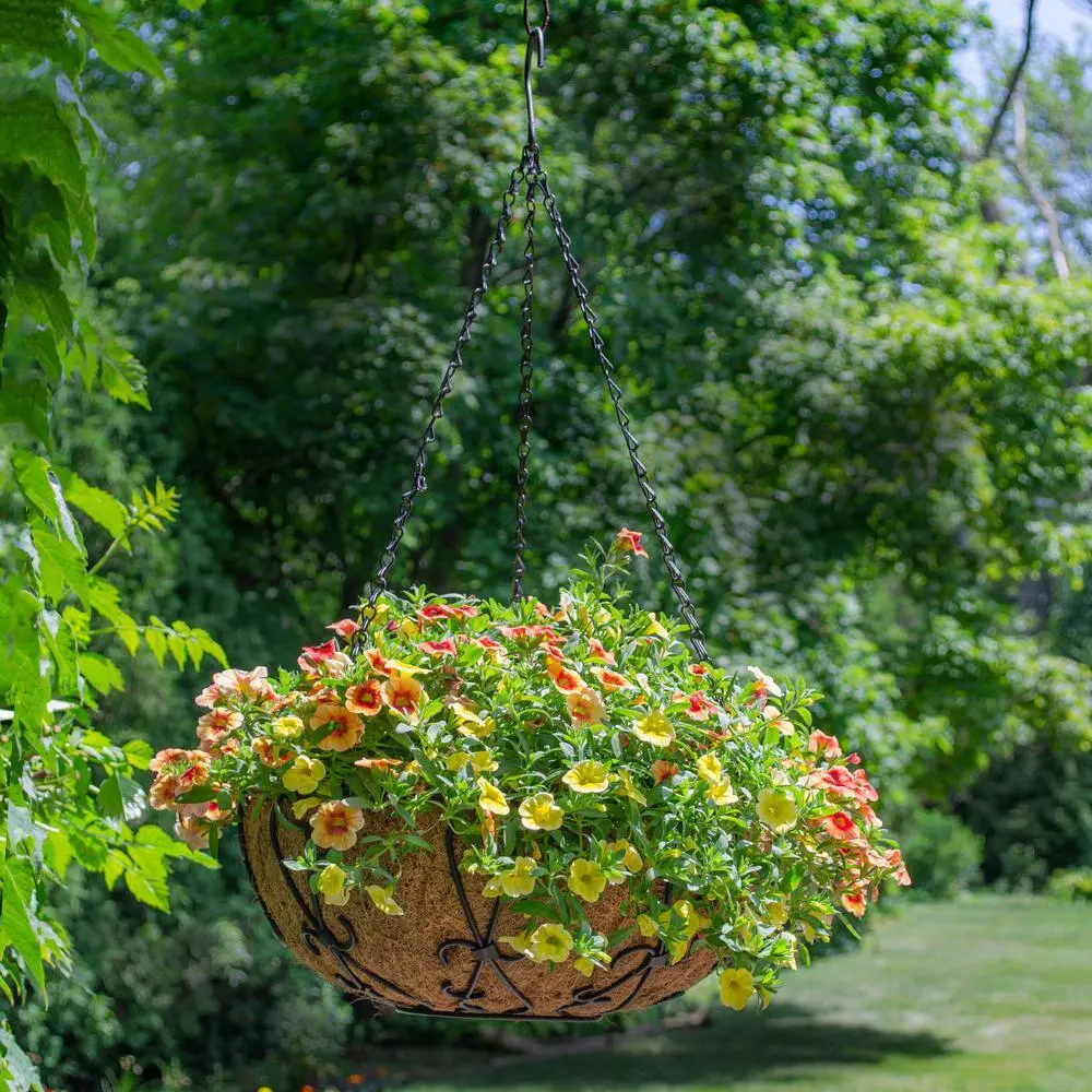 Gilbert & Bennett 14 in. Painted Steel Filigree Hanging Basket with Coco Liner 9 Gilbert & Bennett 14 in. Painted Steel Filigree Hanging Basket with Coco Liner - Image 9