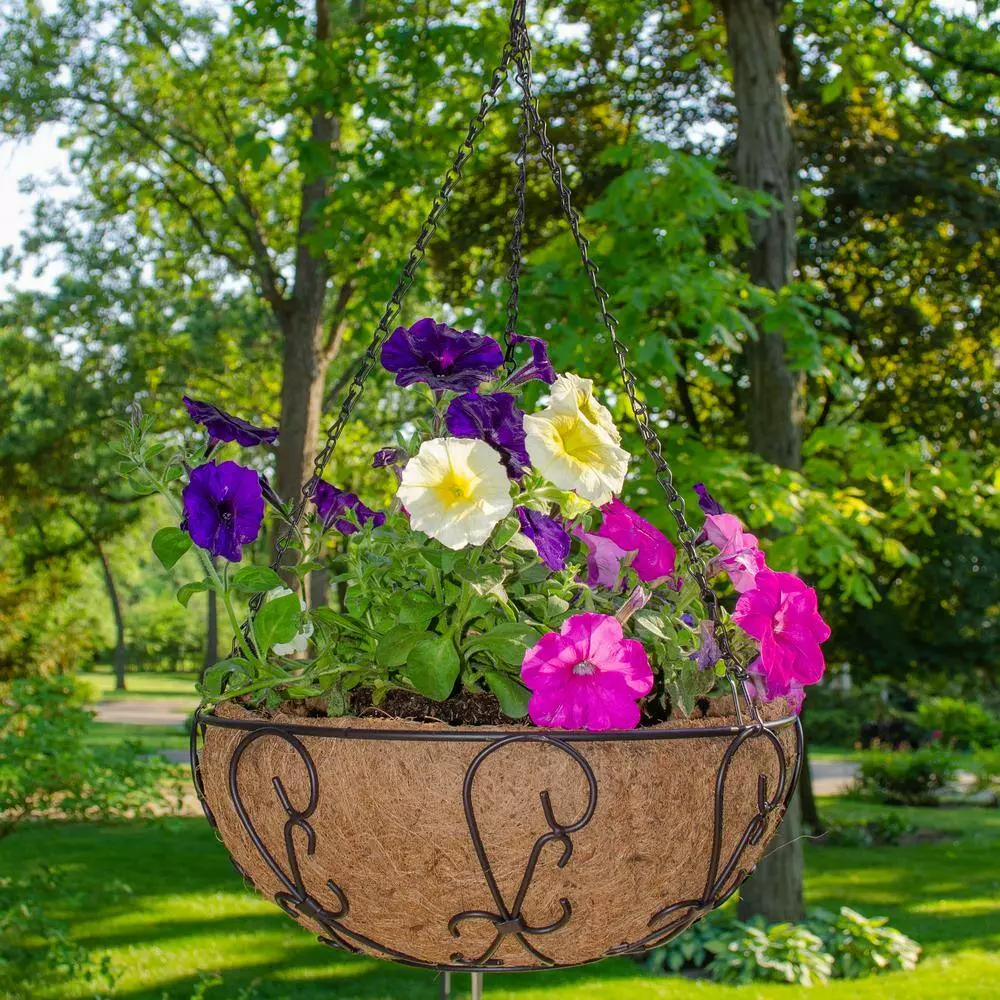 Gilbert & Bennett 14 in. Painted Steel Filigree Hanging Basket with Coco Liner 8 Gilbert & Bennett 14 in. Painted Steel Filigree Hanging Basket with Coco Liner - Image 8