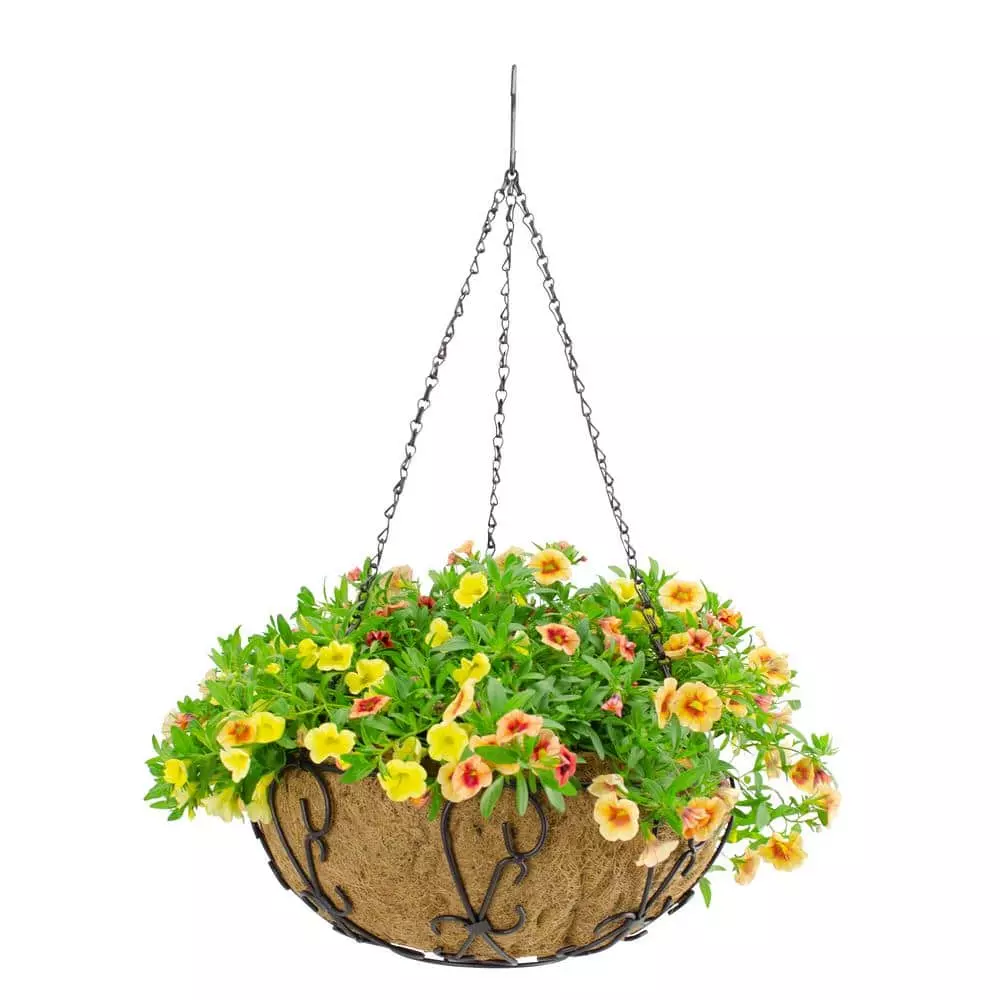 Gilbert & Bennett 14 in. Painted Steel Filigree Hanging Basket with Coco Liner 3 Gilbert & Bennett 14 in. Painted Steel Filigree Hanging Basket with Coco Liner - Image 3