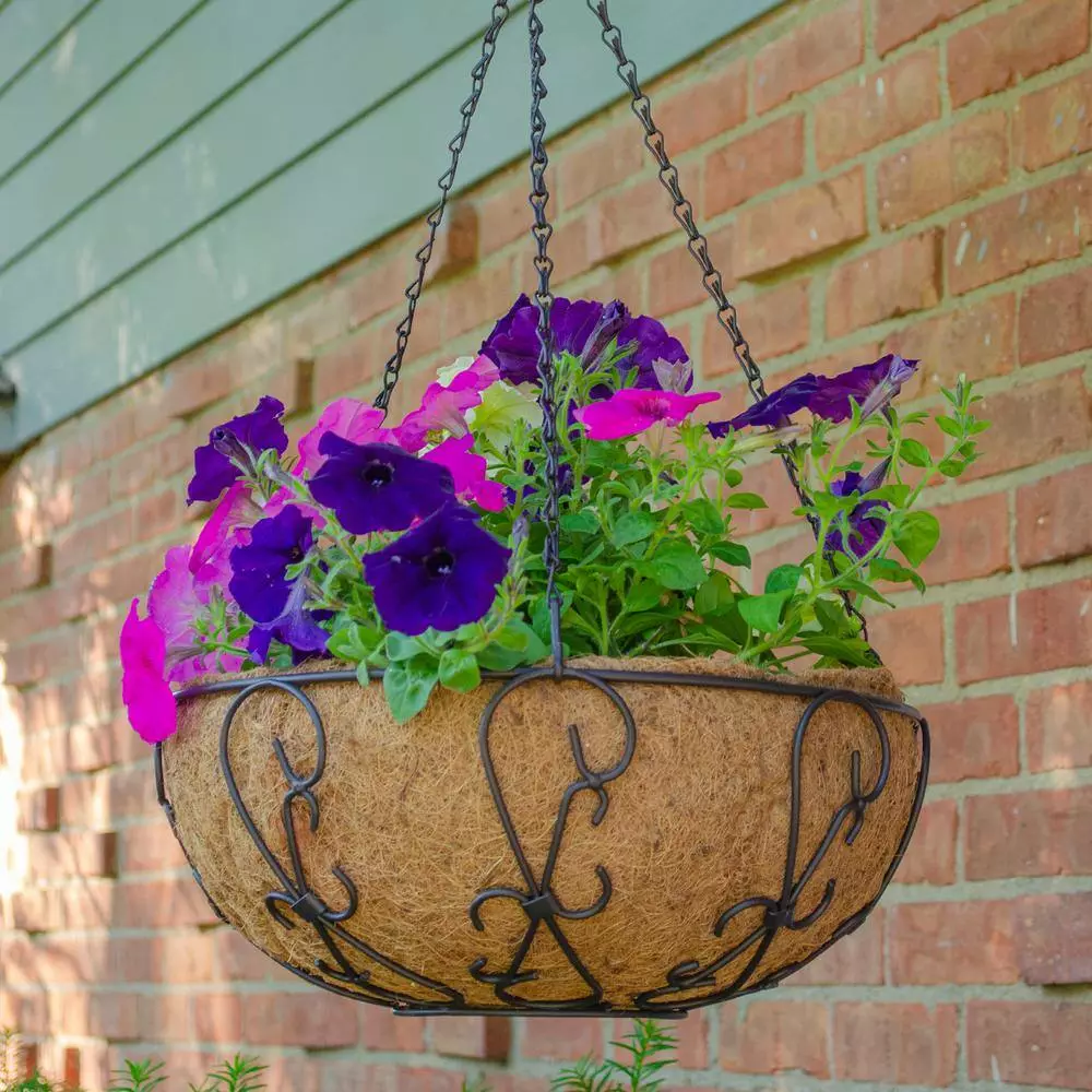 Gilbert & Bennett 14 in. Painted Steel Filigree Hanging Basket with Coco Liner 7 Gilbert & Bennett 14 in. Painted Steel Filigree Hanging Basket with Coco Liner - Image 7