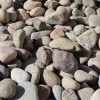 Butler Arts 0.25 cu. ft. 20 lbs. 3/4 in. to 2 in. Small Buff Mexican Beach Pebble