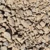 Butler Arts 0.50 cu. ft. 40 lbs. 1/2 in. to 1-1/2 in. California Gold Landscaping Gravel