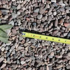 Butler Arts 0.50 cu. ft. 40 lbs. 3/4 in. Arizona River Rock (20-Bag Pallet) 6 Butler Arts 0.50 cu. ft. 40 lbs. 3/4 in. Arizona River Rock (20-Bag Pallet) -Deals Silky Store butler arts bulk landscape rocks arz 40 p 4f 1000