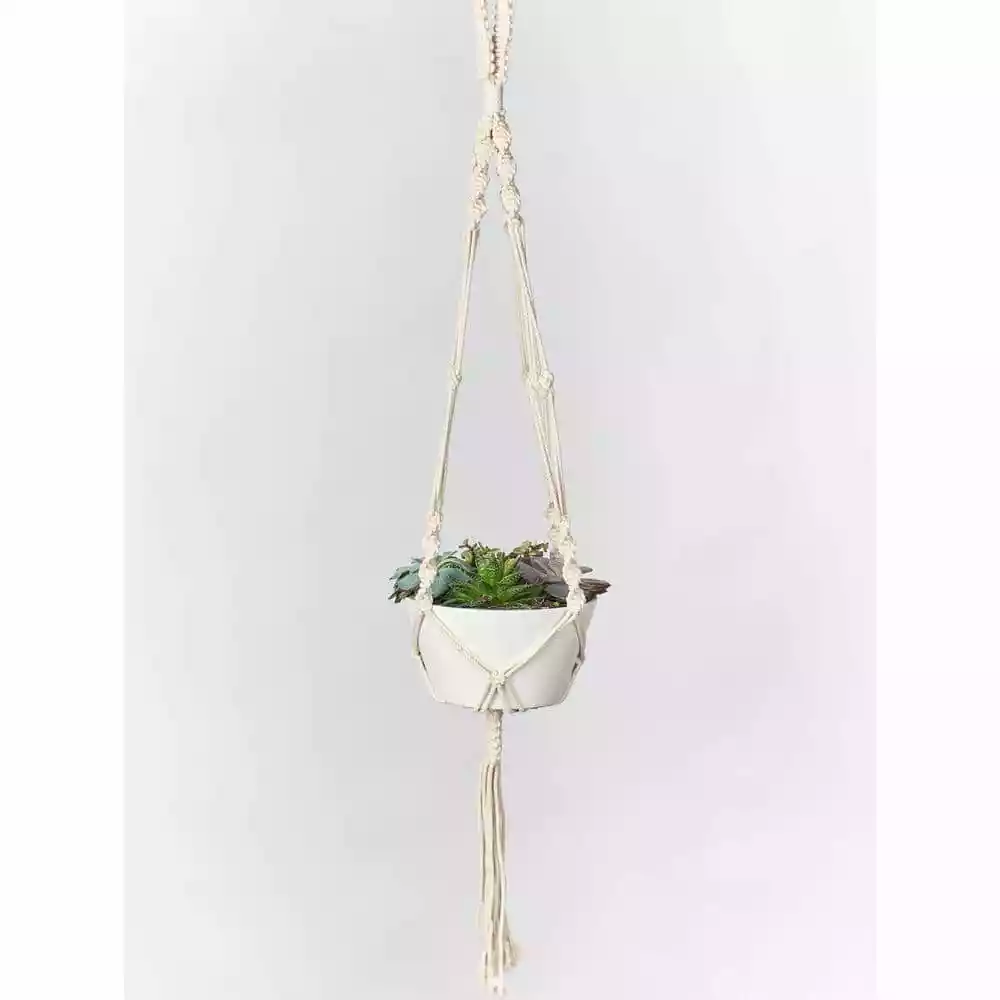 Primitive Planters 42 in. Ivory Woven Cotton Twisted Cord Plant Hanger 3 Primitive Planters 42 in. Ivory Woven Cotton Twisted Cord Plant Hanger - Image 3