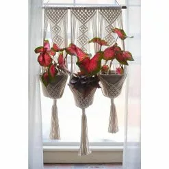Primitive Planters Woven Cotton Triple Pot and Wall Hanger -Deals Silky Store ivory cotton primitive planters plant hangers 9628 31 1000
