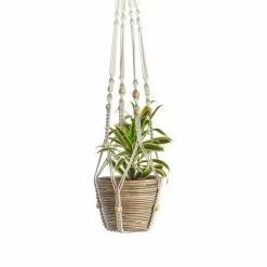 Primitive Planters 42 in. Off White Woven Cotton No Tassel Woven Plant Hanger 6 Primitive Planters 42 in. Off White Woven Cotton No Tassel Woven Plant Hanger -Deals Silky Store off white cotton primitive planters plant hangers 9529 4f 1000