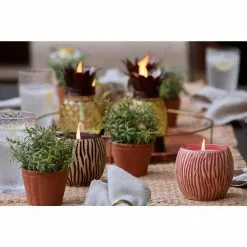 PATIO ESSENTIALS 9 oz. Tropical Stripes Citronella Candle (3-Pack) -Deals Silky Store patio essentials citronella candles 201878ce spk fa 1000