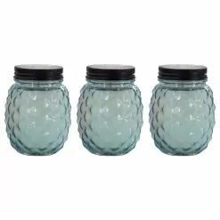 PATIO ESSENTIALS 9 oz. Glass Pineapple Citronella and Lemongrass Candle (3-Pack)