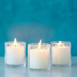 PATIO ESSENTIALS 7 oz. Palm Print Citronella Glass Candle (3-Pack) -Deals Silky Store patio essentials citronella candles 220144w spk 1f 1000