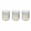 PATIO ESSENTIALS 7 oz. Palm Print Citronella Glass Candle (3-Pack)