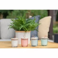 PATIO ESSENTIALS Blended Scent Citronella Candle -Deals Silky Store patio essentials decorative outdoor candles 220162 spk 4f 1000