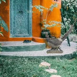 Seasonal Abode Inc Merman Gray/Brown Resin Tail Up Pheasant on Base -Deals Silky Store seasonal abode inc garden statues fbc661 44 1000