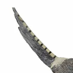 Seasonal Abode Inc Merman Gray/Brown Resin Tail Up Pheasant on Base -Deals Silky Store seasonal abode inc garden statues fbc661 4f 1000