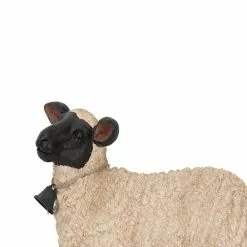 Seasonal Abode Inc Dulce Cream/Black Mgo Sitting Sheep Wearing Bell -Deals Silky Store seasonal abode inc garden statues rh301 1f 1000