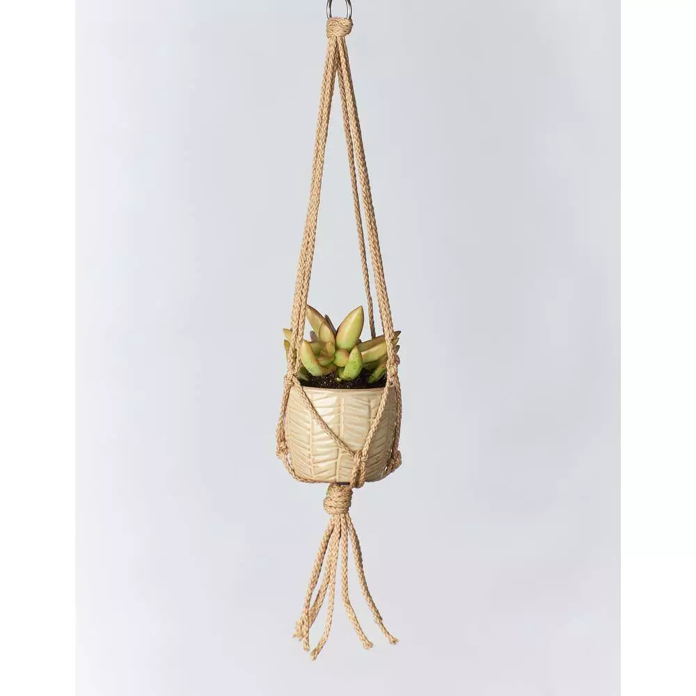 Primitive Planters 18 in. Mini Tan Polypropylene Macrame Plant Hanger 2 Primitive Planters 18 in. Mini Tan Polypropylene Macrame Plant Hanger - Image 2