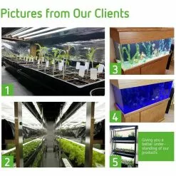 VIVOSUN 24-Watt 2 ft. T5 3000K Fluorescent Grow Light Bulb, Warm White (5-Pack） -Deals Silky Store vivosun fluorescent tube lights x000vv26cj 76 1000