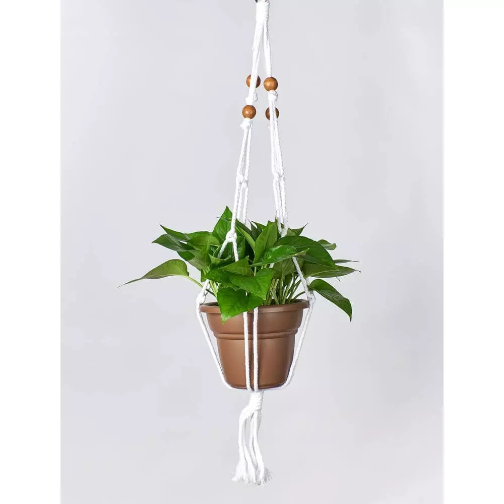 Primitive Planters 30 in. Beaded Cotton Plant Hanger 2 Primitive Planters 30 in. Beaded Cotton Plant Hanger - Image 2