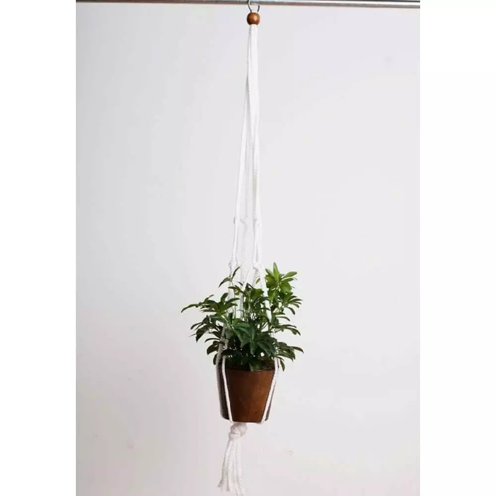Primitive Planters 36 in. Polypropylene White Macrame Plant Hangers (2-Pack) 2 Primitive Planters 36 in. Polypropylene White Macrame Plant Hangers (2-Pack) - Image 2