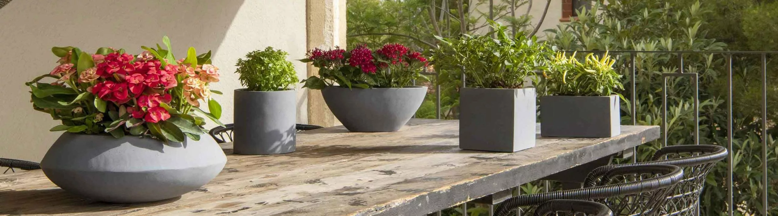 Silky Sales -Deals Silky Store 2carrousselbanner smallfiber 2 2880x800 1 scaled